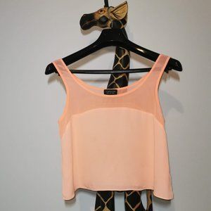 TOPSHOP crop top EUC